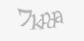 Защитный код